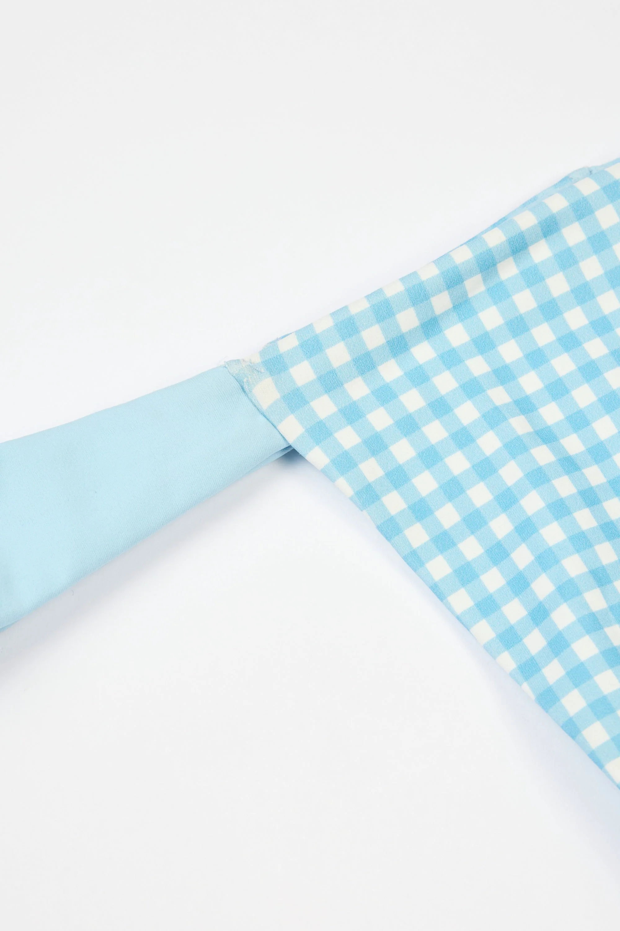 Thong Bikini Bottoms in Blue Gingham Print - Image 5